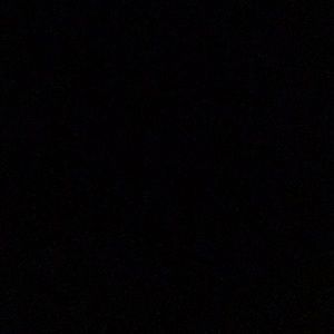 Meet your Posher, Bridgette